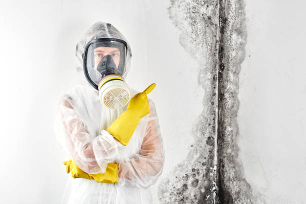 Mold Remediation for Rental Properties in Totowa, NJ